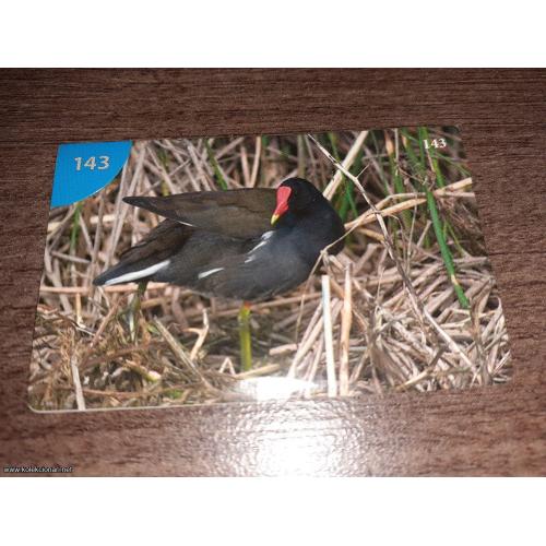 br. 143 životinjsko carstvo 2008