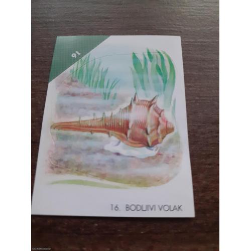 br. 16 životinjsko carstvo 1993