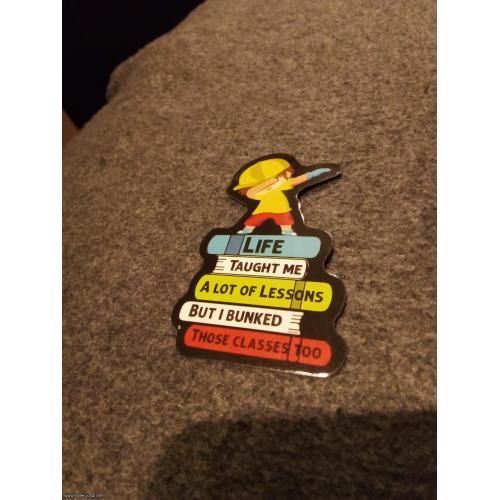 Life taught me a lot of lessons but I bunked those classes too  nalepnica