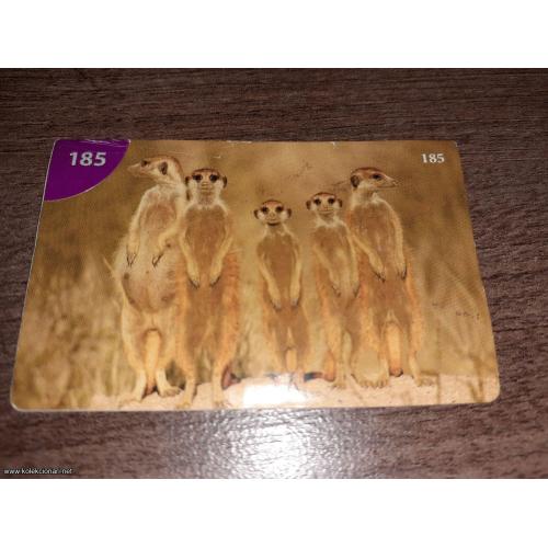 br. 185 životinjsko carstvo 2008