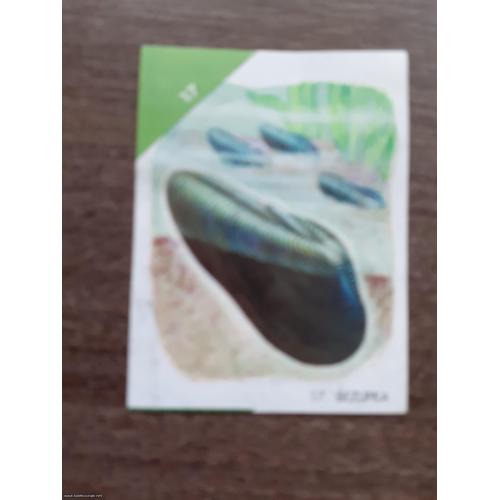 br. 17 životinjsko carstvo 1993