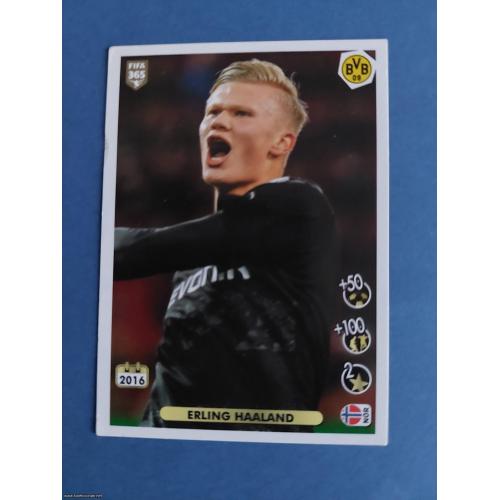 FIFA 365 2020/21 #8 Erling Haaland