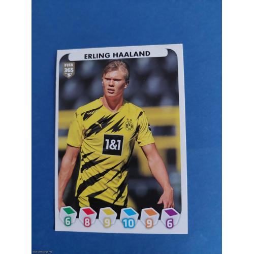 FIFA 365 2020/21 #208 Erling Haaland