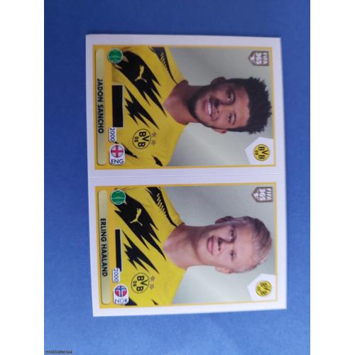 FIFA 365 2020/21 #181 Erling Haaland