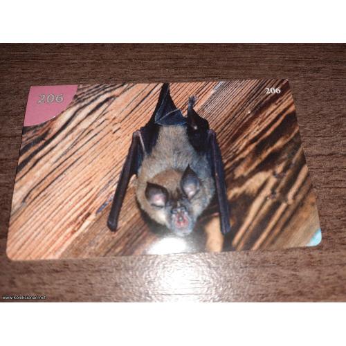 br. 206 životinjsko carstvo 2008