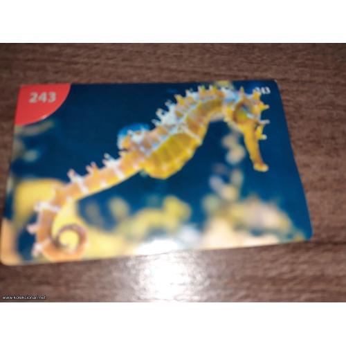 br. 243 životinjsko carstvo 2008