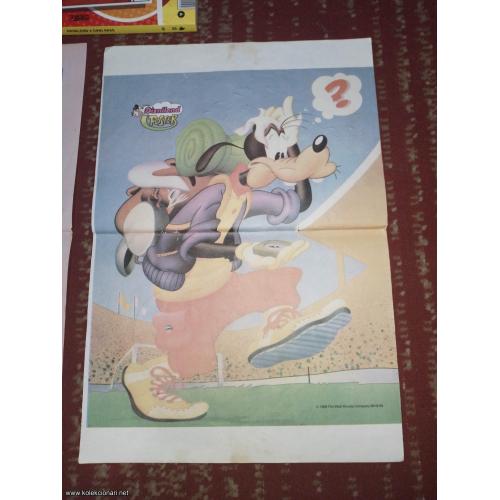 ŠILJA DIZNILEND - POSTER