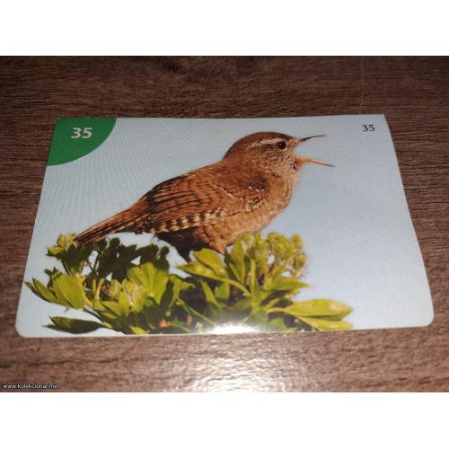 br. 35 životinjsko carstvo 2008