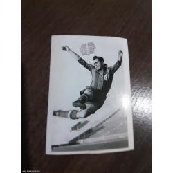 br.35 Partizan liga šampiona 2003/2004