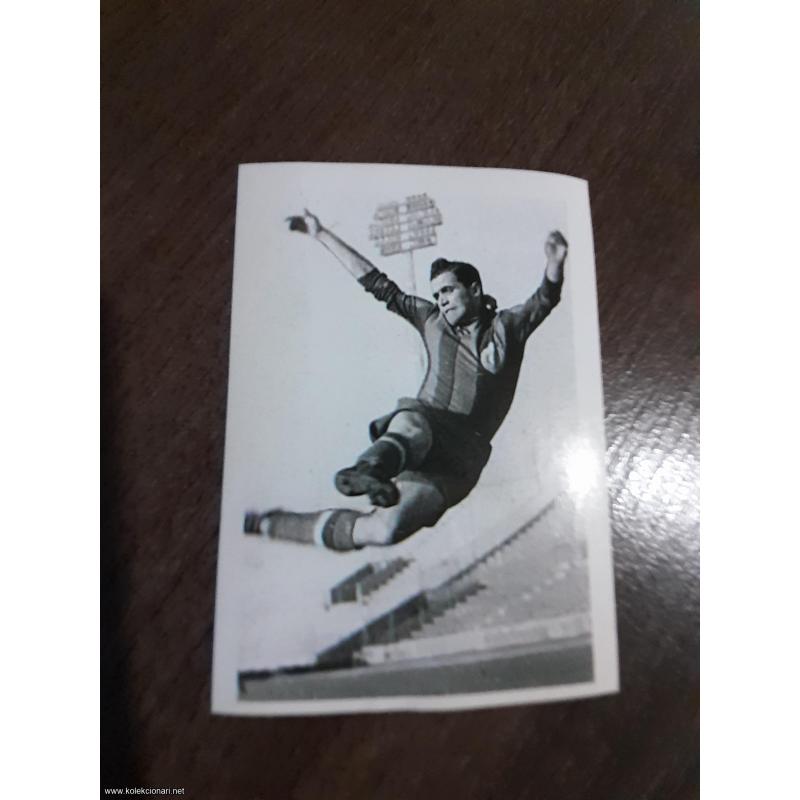 br.35 Partizan liga šampiona 2003/2004