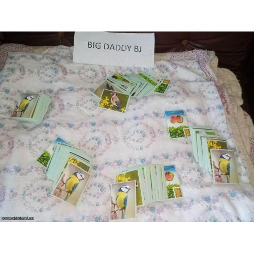 Idea Leteća družina - broj 104