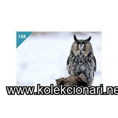 ŽIVOTINJSKO CARSTVO 2016 br.158 MALA UŠARA JUNIOR