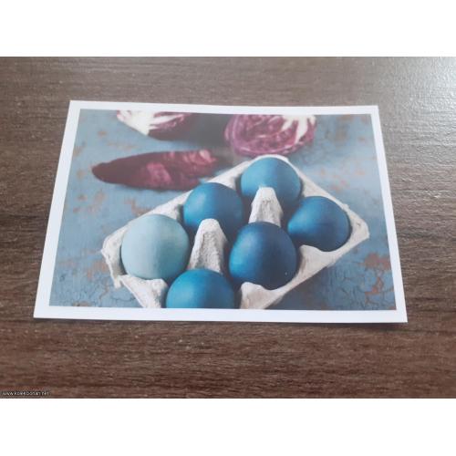 Vita kllinci, 63, Maxi 2018.