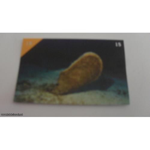 Zivotinjsko Carstvo 2016